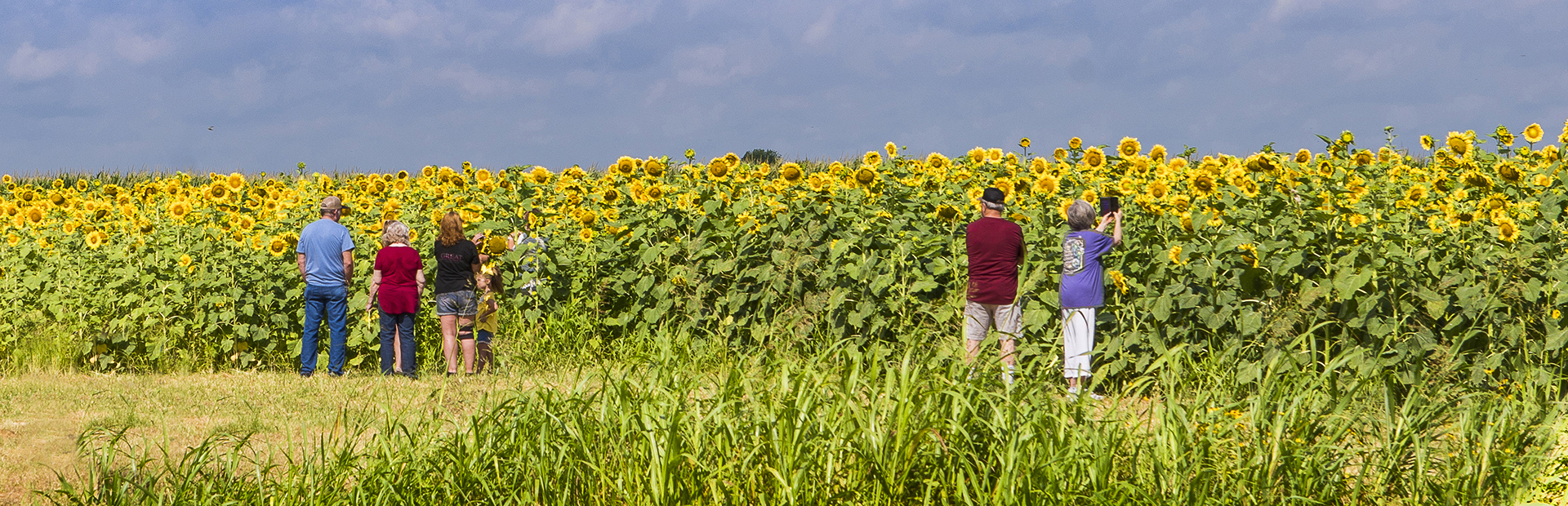 Farms & Orchards