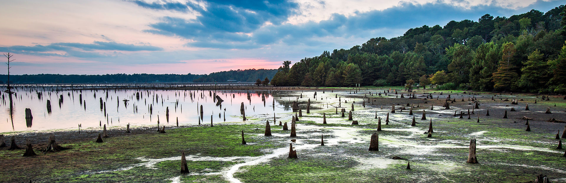Press Portal - Lake D'Arbonne State Park