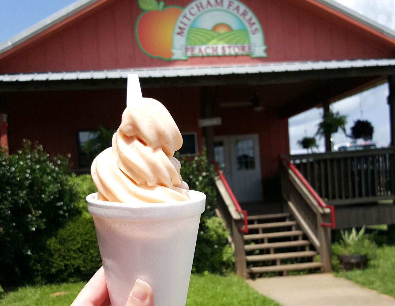 Mitcham Farms Peach Icecream Peach soft-serve ice cream at Micham Farms Peach Store.